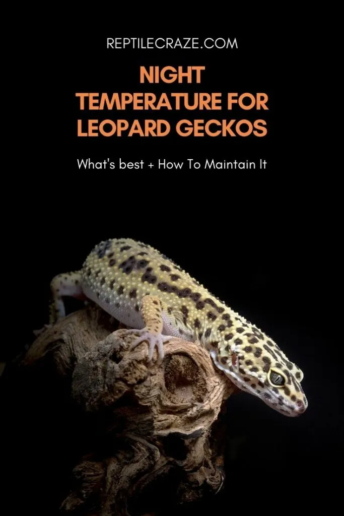 The Perfect Temperature For Leopard – Reptile