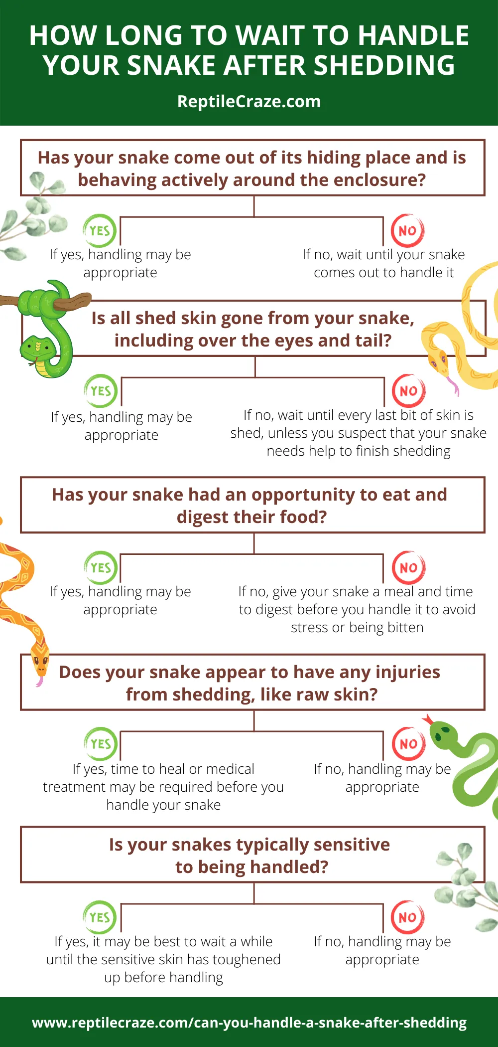 when can I handle my snake after shedding