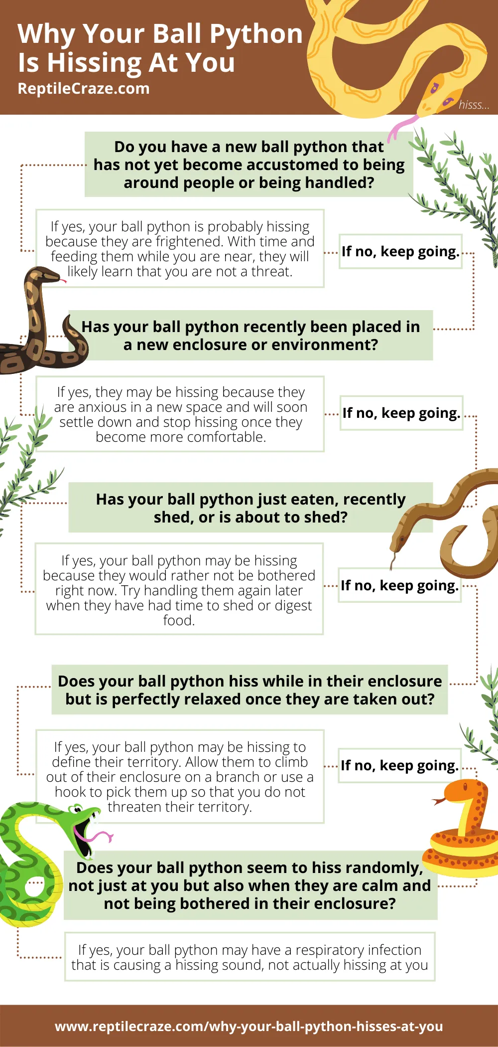 how to find out why your ball python hisses at you