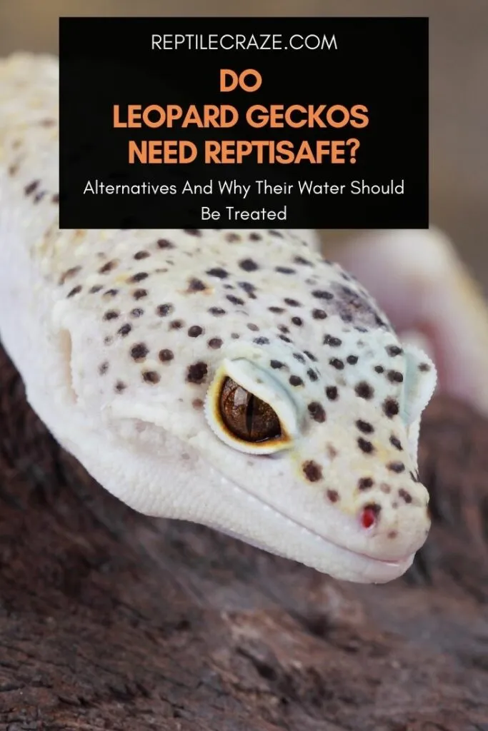 do leopard geckos need reptisafe?