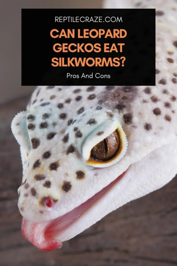 can leopard geckos eat silkworms?