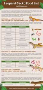 Leopard Gecko Diet - What Can Leopard Geckos Eat? - Reptile Craze