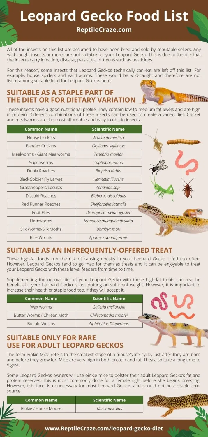 Leopard gecko food list - Reptilecraze.com