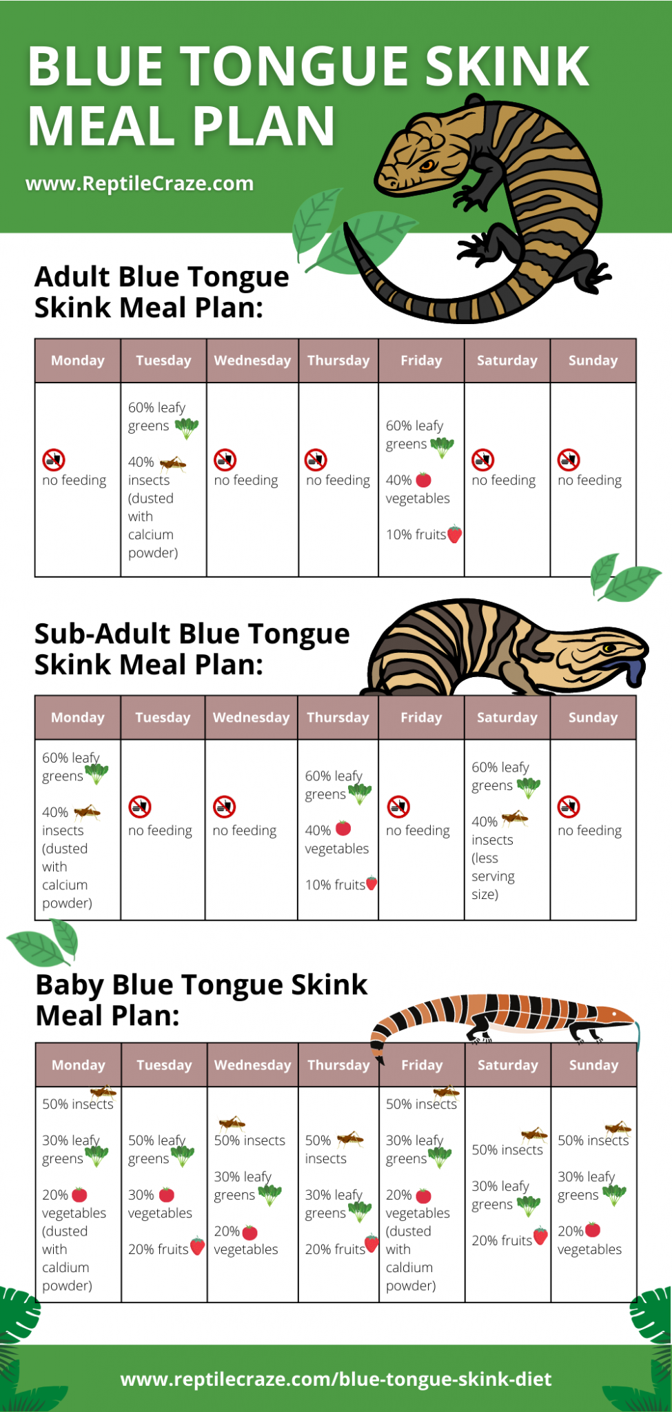 Image result for Blue Tongue Skink Diet Guide - Food List Included - Reptile Craze
