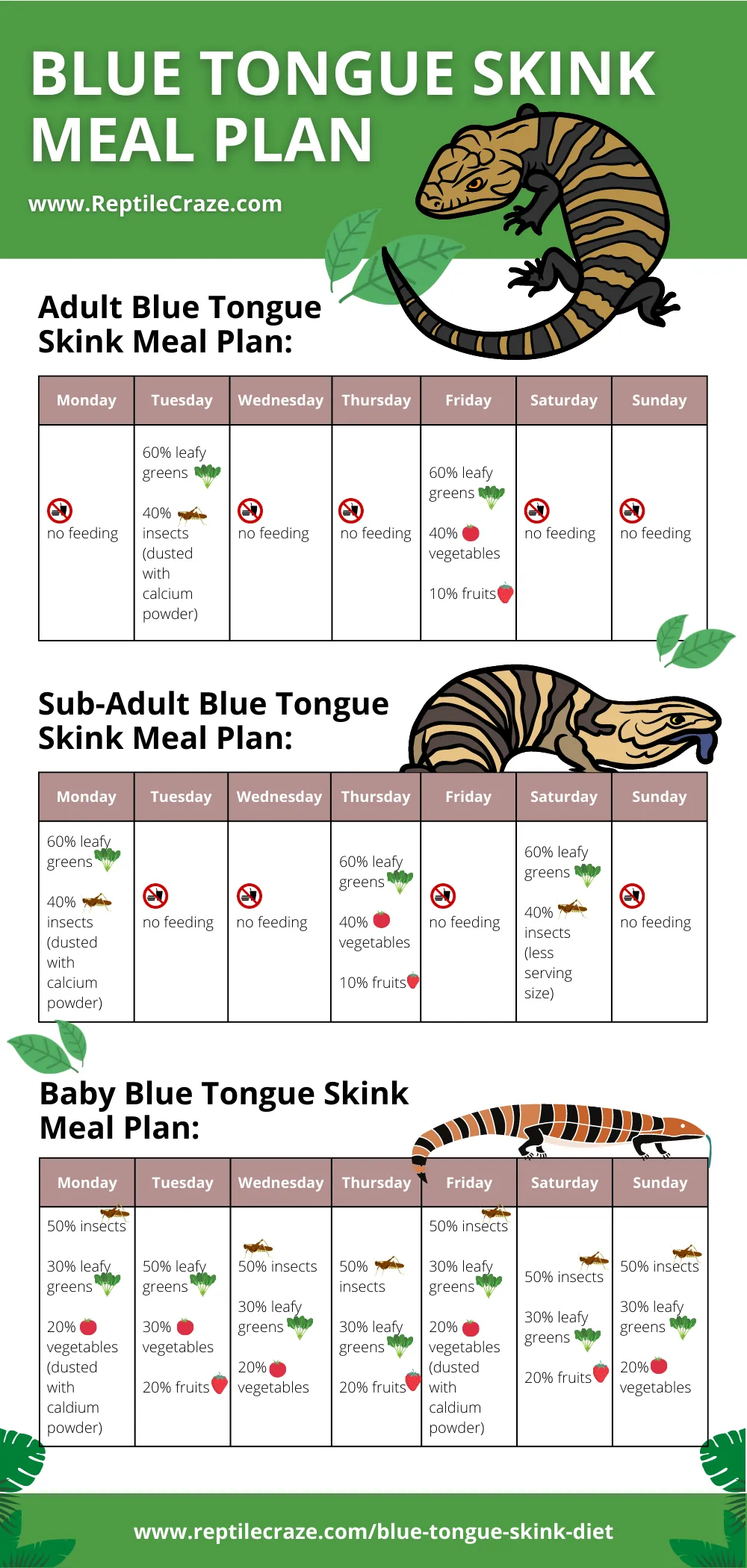 blue tongue skink mealplan