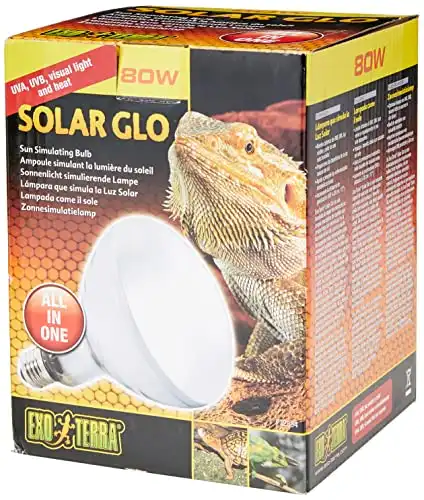 Heat lamp bulb for hotsell bearded dragon