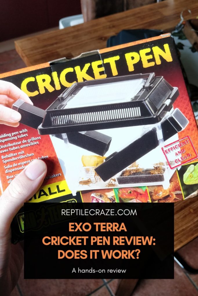 How to Clean Your Cricket Pen