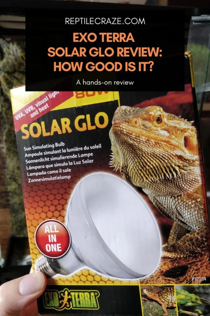 Is this a good thermometer? : r/BeardedDragons