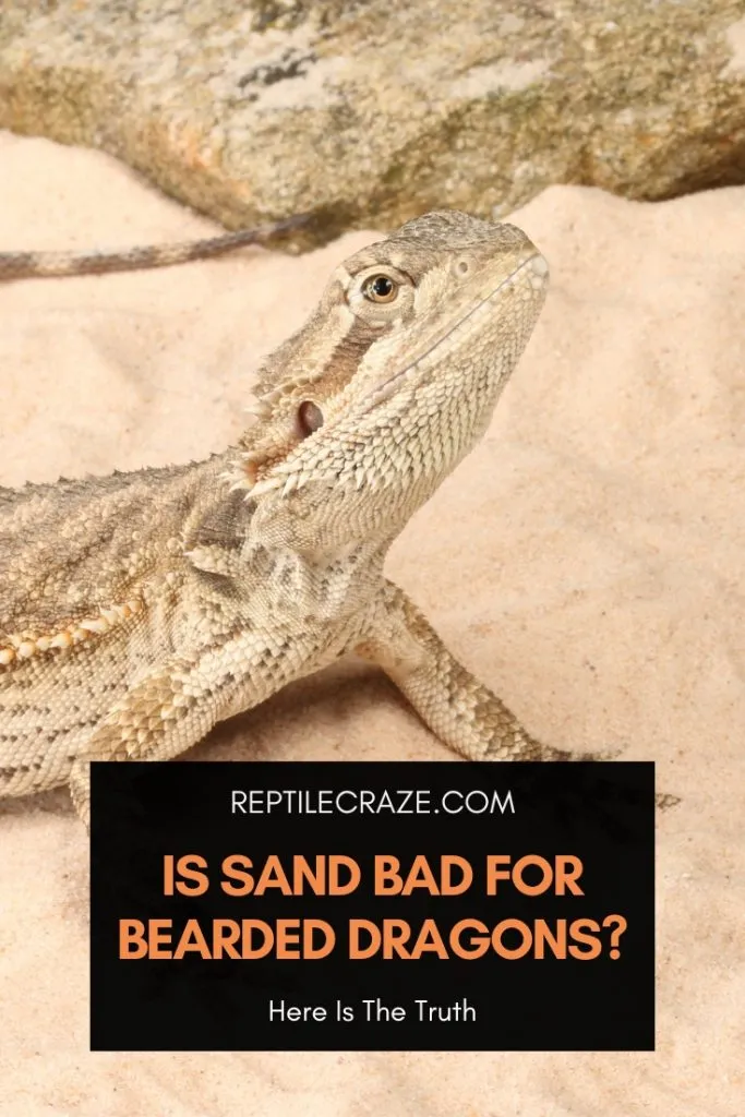 is sand bad for bearded dragons?