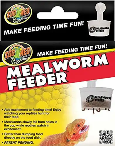 Bearded dragon automatic clearance feeder